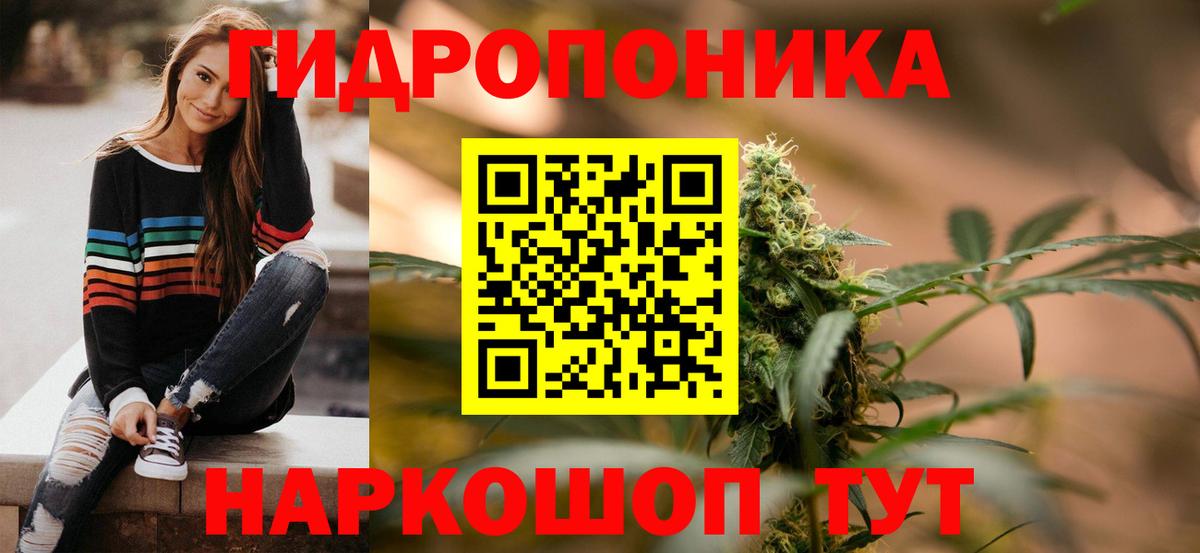 Бошки Шишки гибрид Вышний Волочёк